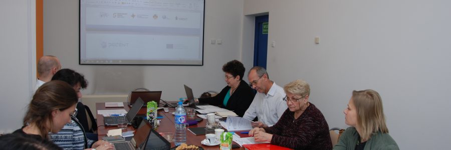 Second meeting within Decent project