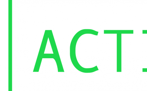 ACTION Project Partner Meeting