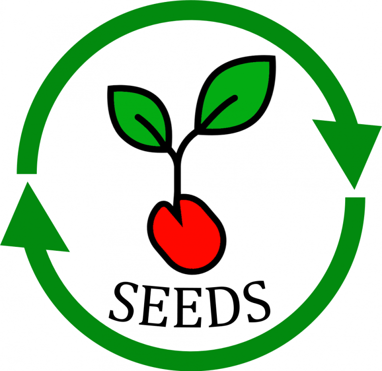 Seeds – newsletter